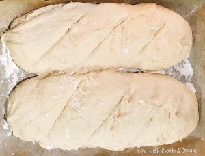 Bread dough