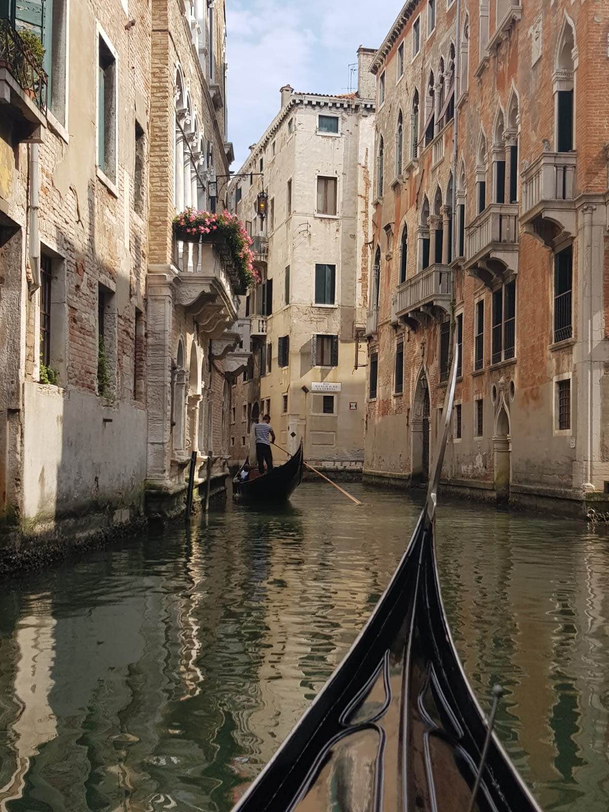 View of Venice from a gondola